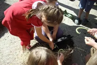 Image de Mobil-home Soléo 33m², 3 chambres (2011) 6 à 8 personnes - 6 pers. inclus dans le tarif