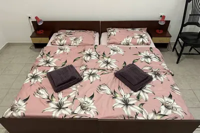 Image de Appartement d'une chambre avec la terrasse Novalja, Pag (A-22963-a)