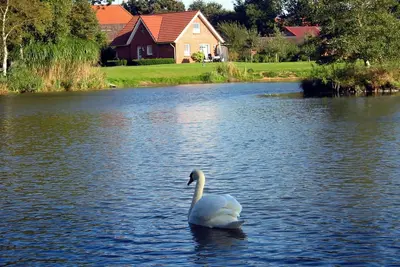 Image de Schwalbenhaus - Ferienhof Am Birkensee, 55125