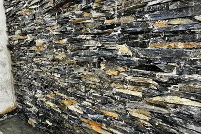 Image de Friends and Nature, Cancun Beach Airport Stoa