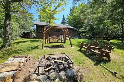 Image de The Tapped Maple\n\n