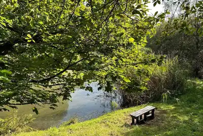 Image de Groom Bluebell Woodland Farm Cottage