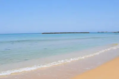 Image de Nonsmoking 4 people Special room with ocean view 3rd to 5th floors Spring seasonal banquet / Kyotango Kyōto