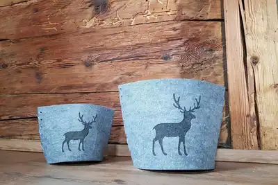 Image de Ferienwohnung Grand Family - Landhaus Wiesle