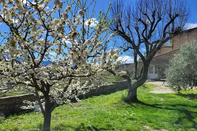 Image de maison en Provence, à Faucon, avec jardin arboré et vue sur le Mont Ventoux.