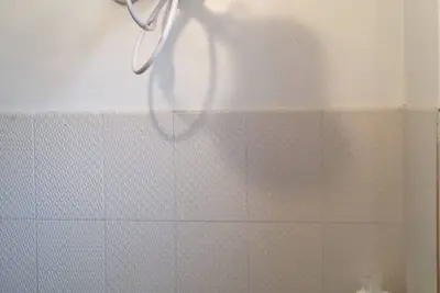 Clean, Co️mfy Designer Studio, Fast Wi-Fi, Netflix