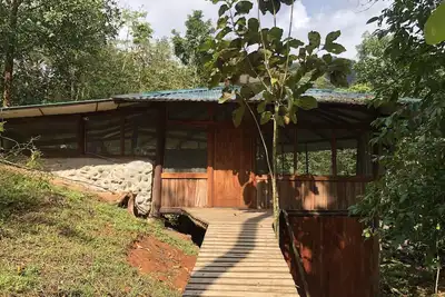 Image de Secluded Treehouse in the the Rainforest
