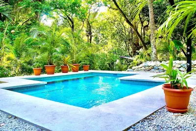 Image de Welcome to Jingle Jangle Jungle - steps to town and 3 incredible beaches