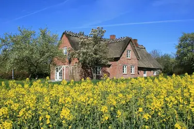 Image de Altes Schusterhus - Ferienhaus Altes Schusterhus