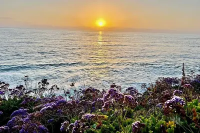 Image de Ocean and Sunset Paradise in Ocean Beach