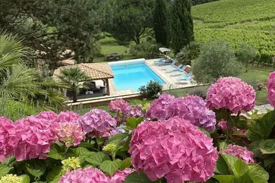 Image de Spacious Villa among vineyards