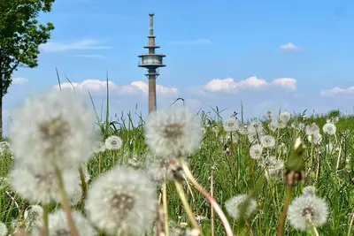 Image de Eifelauszeit - Auszeit ist Eifelzeit / bis zu 8 Personen + Kind + Vierbeiner