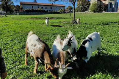 Image de La ferme des Tilleuls