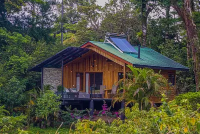 Image de Leaf hut green