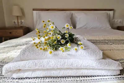 Image de Cozy Owl's Home - a studio countryside house in Pyrgos