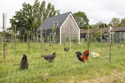 Image de Hello Zeeland - Vakantiewoning Kalfhoeksepad 8