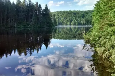 Image de Domaine Sauvage - chalet sur le bord d'un lac paisible