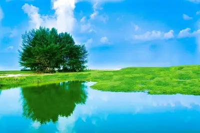 Image de Silicon Valley location, minutes from the airport