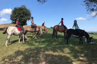 Image de Mobile Home au Ranch du Bonheur, évasion à la ferme