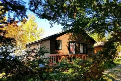 Image de The Shimmering Aspen\n\n