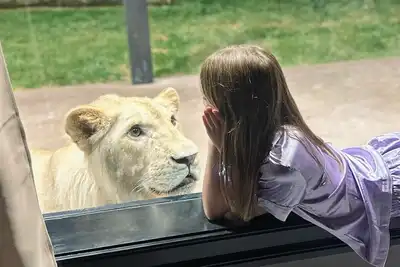 Image de Big Cat Bungalows at The Haven