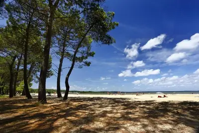 Image de Biscarrosse Lac Joli duplex 4 ou 6 personnes à 200 m du Lac