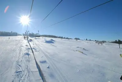 Image de L'adorable chouette Catalane! ! !