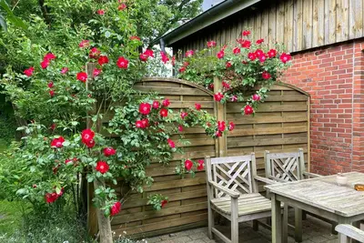 Image de Ferienwohnung 2 Dieksand - Fkg Brahmst\/junge-hof