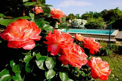 Image de Drôme, Gîte dans maison de campagne, terrasse et piscine, pas de vis à vis.