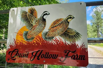 Image de New Private Country Getaway! Minutes to Smith Mountain Lake  Family-Friendly