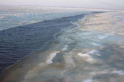 Image de Ferienhaus Haus am Wald - Haus am Wald