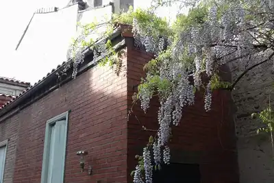 Une véritable toulousaine spacieuse avec jardin dans le centre de Toulouse!