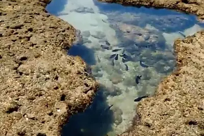 Image de Porto de Galinhas. El Shaday a 5 Minutos do Centrinho, Pertinho da Praia