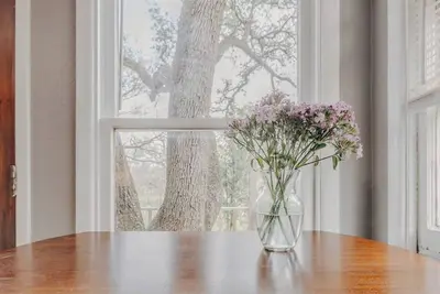 Image de ❤️Cozy Treehouse Duo @Ut | Steps from Campus & Dtwn with Free Parking