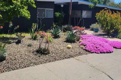 Image de Quiet Mid-Century Gem Close to Sacramento