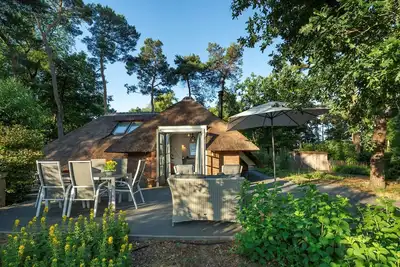 Sprielderbosch 40 Luxury holiday home on a holiday park in the Veluwe