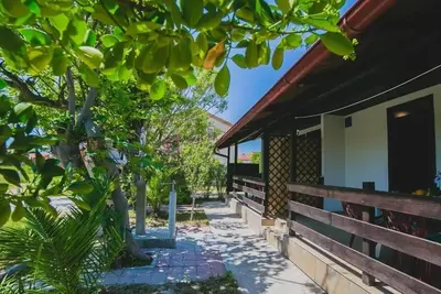 Image de Appartement de vacances pour 6 personnes env. 40 qmà Zukve, Dalmatie (Nord de la Dalmatie)