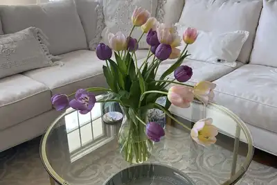 Image de 6 Month Minimum or Longer! \n1 mile from Beaches & Close to Downtown Newport, Ri