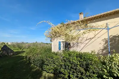 Image de La tête dans les étoiles