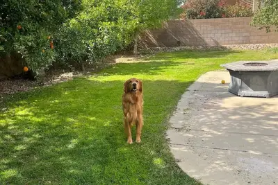 Image de ZenHouse Dove Mountain