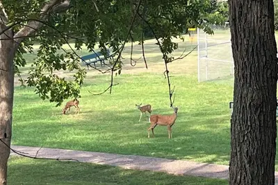 Image de Quiet, well appointed  S. Austin townhome. Close to everything! Min. 30 days. .