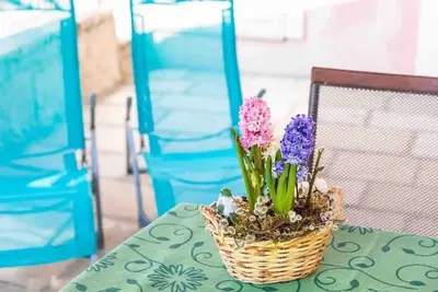 Image de Appartement de deux chambres prés de la plage Cavtat (Dubrovnik) (A-23017-a)