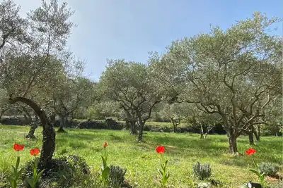 Image de Expérience insolite : maison avec piano, douche nature, près des lacs