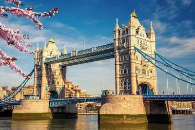 Image de Modern 2-Bedroom, 2-Bathroom Condo in the Heart of London