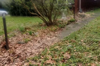 Image de Cheap campground! In cococino, Arizona\nWill rent it as monthly sublet as well.