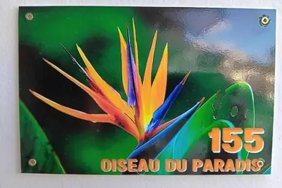 Image de Oiseau du paradis