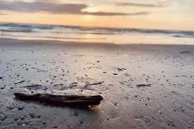 Image de Classic Sauble Cottage- River directly behind, beach right across the street! !