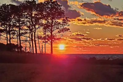 Image de Sunset Point Farm - Gracious Country Farm on the Chesapeake Bay - 75 Acres