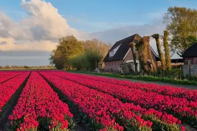 Image de Vie à la campagne Retraite moderne
