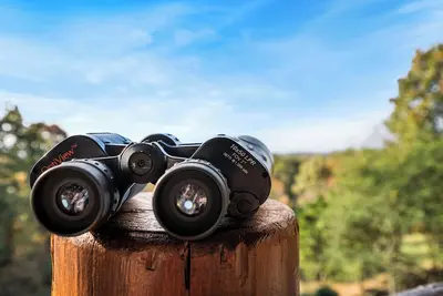 Image de Holiday Ready|Air Hockey|Golf Game|Views|HotTub